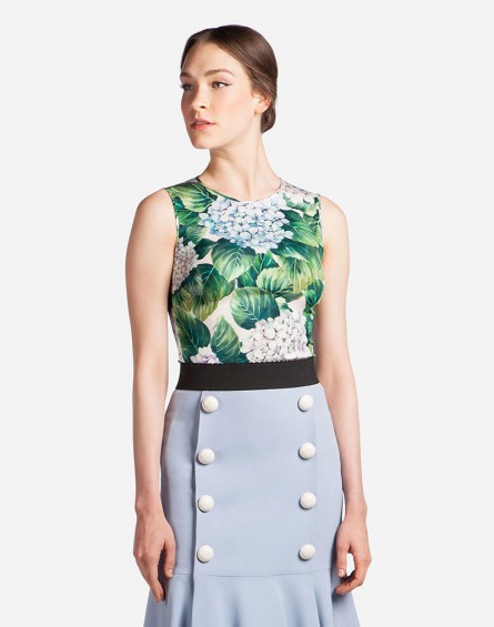 Donec vitae ipsum Donec vitae ipsum